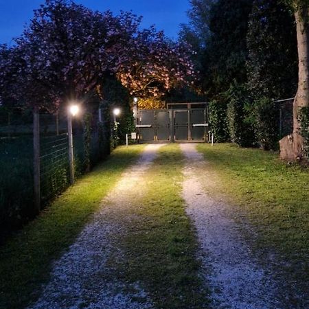 La Casina Apartament Ferrara Bagian luar foto